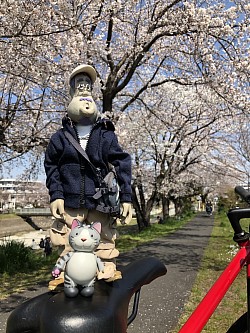 お花見