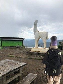 陣場山山頂